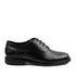 Tedi Black