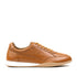 Dandi Brown